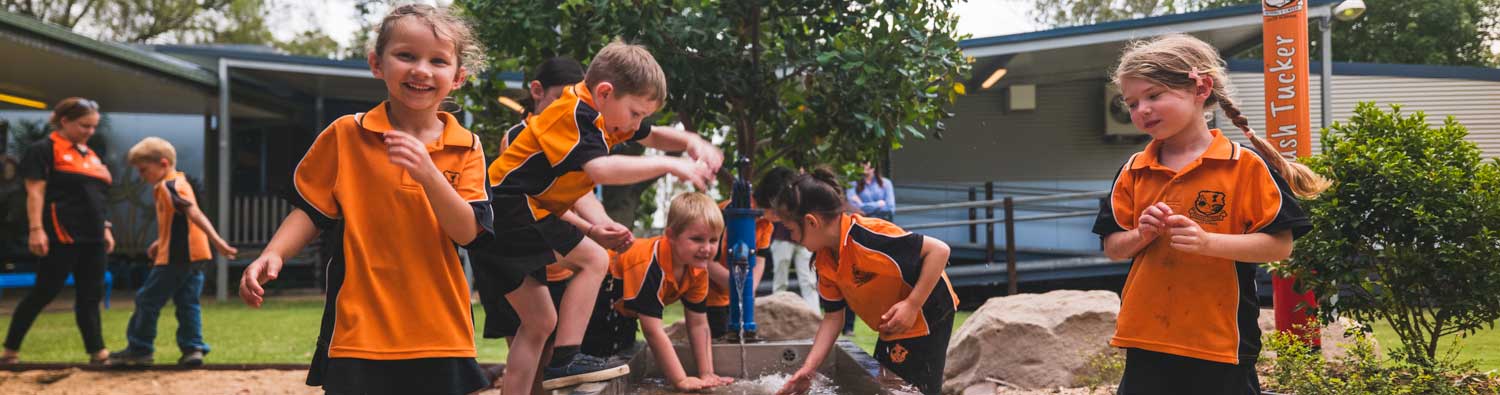 Prospect Creek State School garden banner